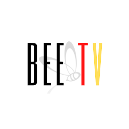 BEE TV Network: Download & Review