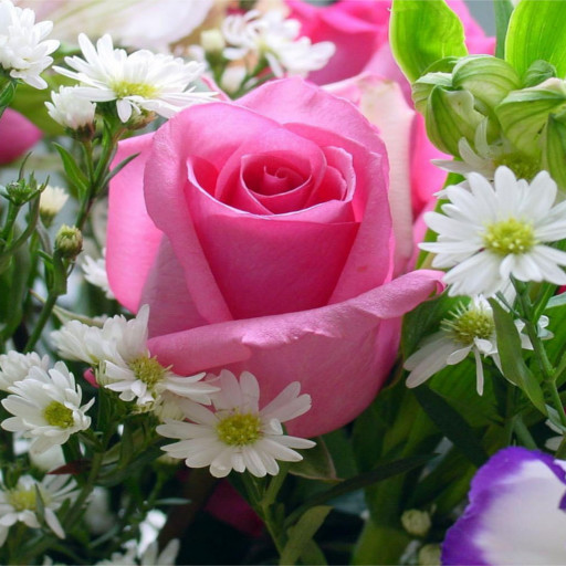 Flowers Wallpapers HD Offline logo