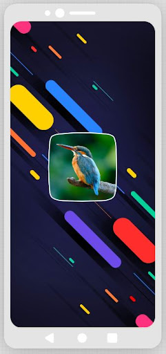 Android application Birds Ringtones screenshort