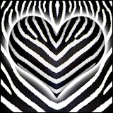 Zebra Live Wallpaper icon