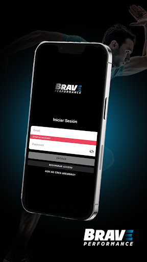 BRAVE PERFORMANCE Screen 2