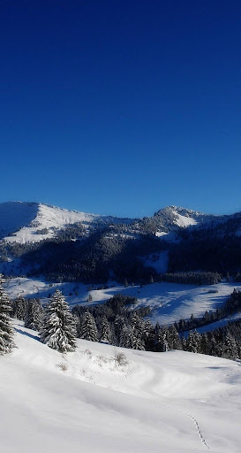 HD F11/Reno Ace Wallpapers