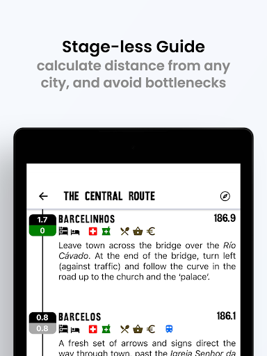 Wise Pilgrim Camino Portugués