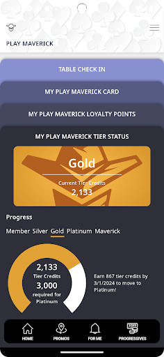 Play Maverick Screen 2