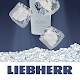 Liebherr Smoothies & Ice Download on Windows