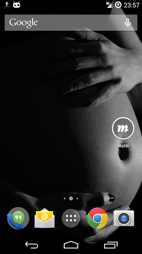 Android application Muzei Koken screenshort