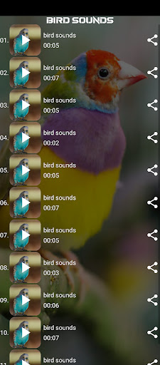 bird sounds Screen 2