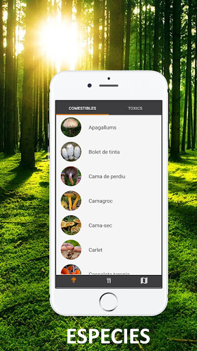 Boletaires: Todo sobre las set Screen 2