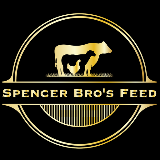Spencer Bro's Feed Windows'ta İndir