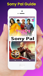 Sony Pal HDLive Shows Tips