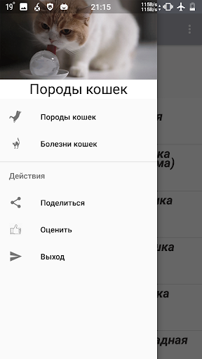 Android application Все породы кошек screenshort
