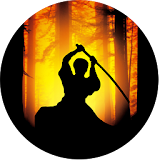 Karate Game 2015 icon