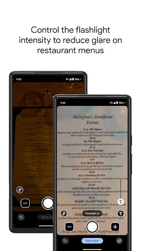 Screenshot of Magnifier