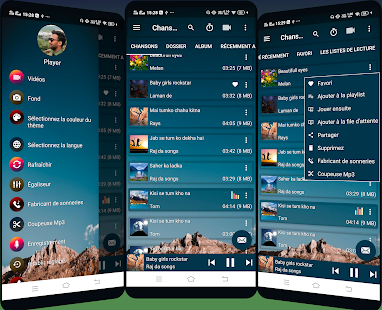 Aperçu de l'application