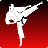 Karate Kumite icon