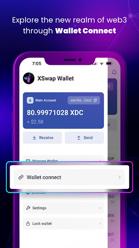 Screenshot of XSwap Wallet