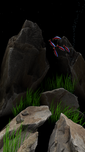 Nano Aquarium Screen 2