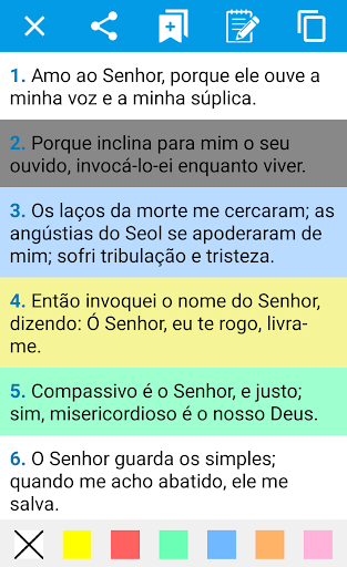 Visualização do aplicativo