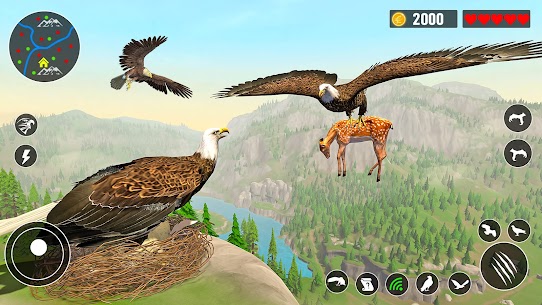 Eagle Simulator – Eagle Games 2