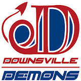 Downsville Community Charter icon