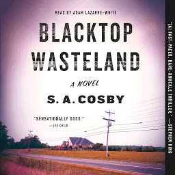 Icon image Blacktop Wasteland: A Novel