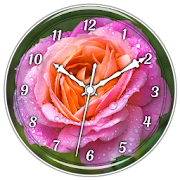 Macro Rose Clock Live WP  Icon
