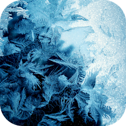 Download Frozen Screen Live Wallpaper (5).apk for Android 