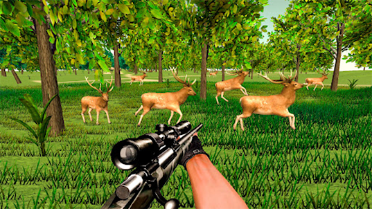 Wild Hunt Animal Hunting Games