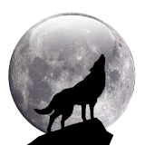 GOSMSTHEME Howl at the Moon icon