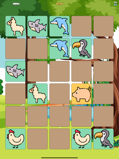 Memorica Match Pairs