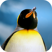 Top 20 Personalization Apps Like Penguin Wallpaper - Best Alternatives