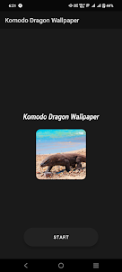 Komodo Dragon Wallpaper
