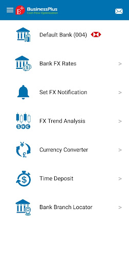 BusinessPlus CFO Screen 2