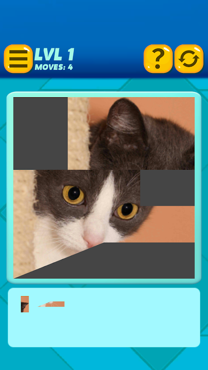 Cats Puzzlegram - 1.5.8 - (Android)