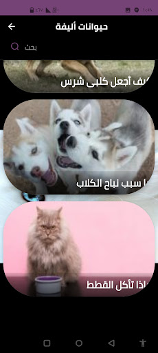 Android application حيوانات أليفة screenshort