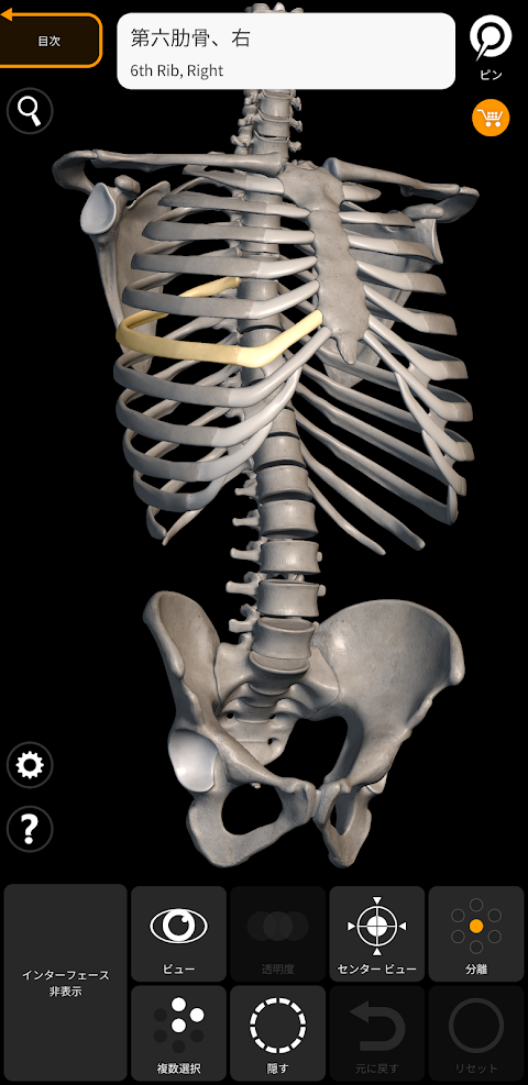 骨格 | 解剖学3D アトラスのおすすめ画像1