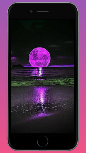 Purple Wallpapers HD