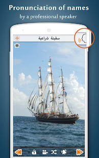 معاينة التطبيق