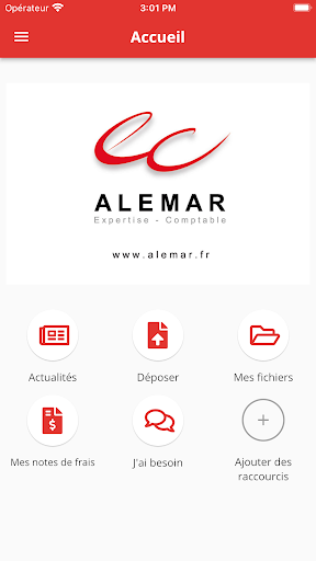 ALEMAR Screen 2