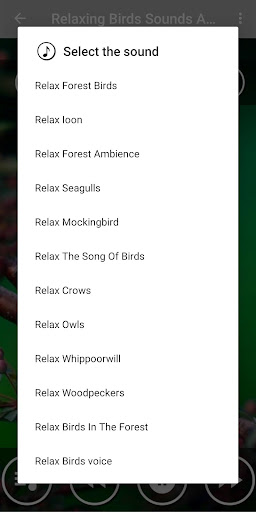 Relaxing Music & Birds Singing Screen 2