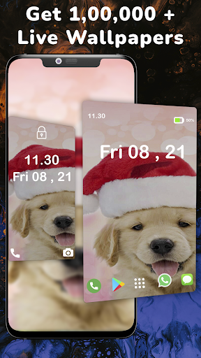 Golden Retriever Photos HD Screen 2
