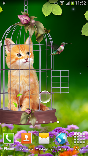 Cat and Hummingbirds Wallpaper Screen 2