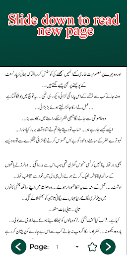 Tera Yaar Hun Main Urdu Novel Screen 3