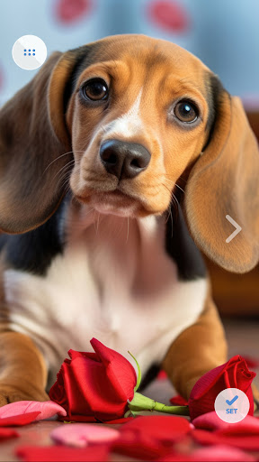 Sweet Animals Wallpapers Screenshot