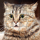 猫のゲーム 面白い動物のパズル - Androidアプリ