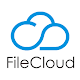 FileCloud.uz Download on Windows