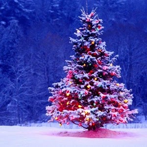 Christmas Wallpaper - Latest version for Android - Download APK