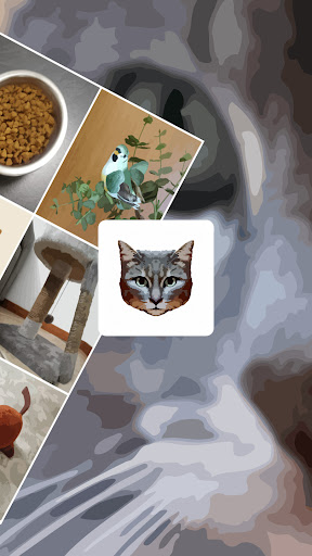 Call Cats Screen 2