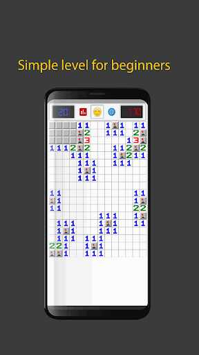 Minesweeper puzzle Screen 2