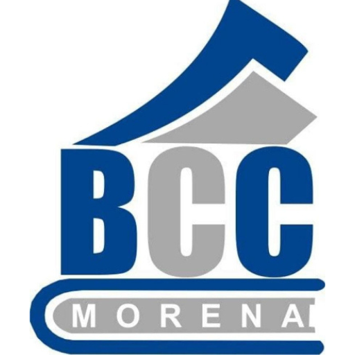 BANSAL COMMERCE CLASSES MORENA logo